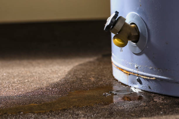 Best Water damage cleanup near me  in Beesleys Point, NJ