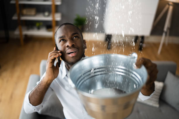Best Water damage contractors near me  in Beesleys Point, NJ