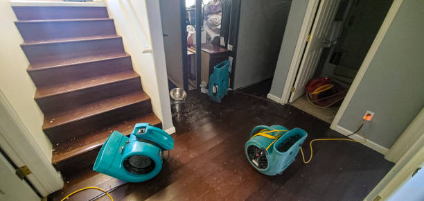 Best Commercial water damage restoration  in Beesleys Point, NJ