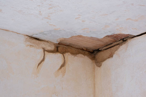  Beesleys Point, NJ Water damage restoration Pros