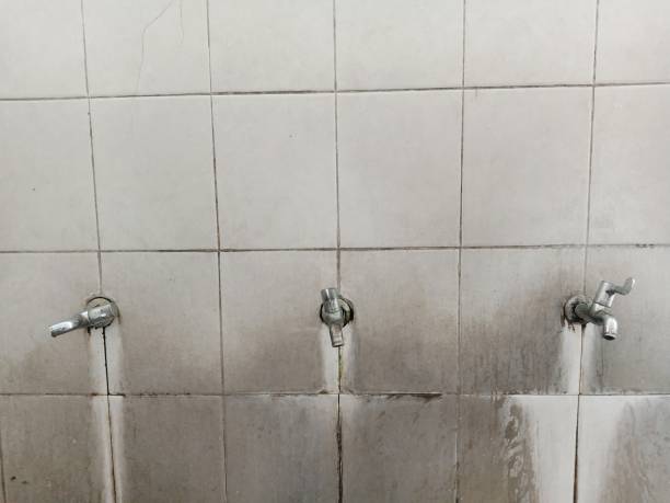 Best Water damage restoration cost  in Beesleys Point, NJ
