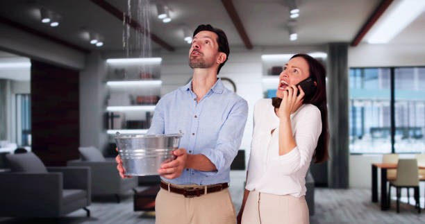 Best Ceiling water damage repair  in Beesleys Point, NJ
